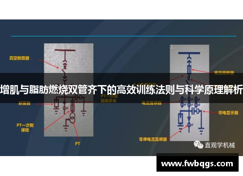 增肌与脂肪燃烧双管齐下的高效训练法则与科学原理解析